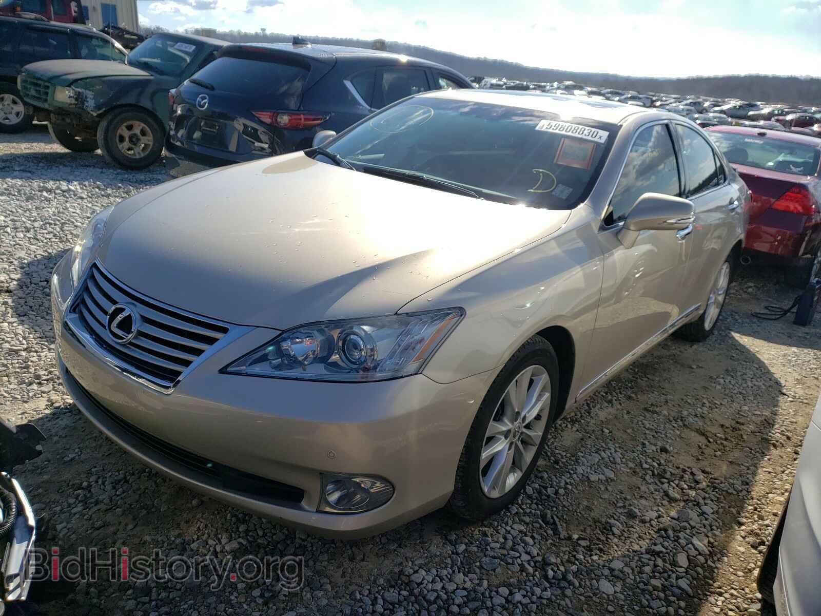 2010 LEXUS ES350 - VIN: JTHBK1EG0A2361747 - Фото 2