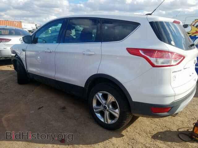 2014 FORD ESCAPE - VIN: 1FMCU0GX5EUC59115 - Фото 3