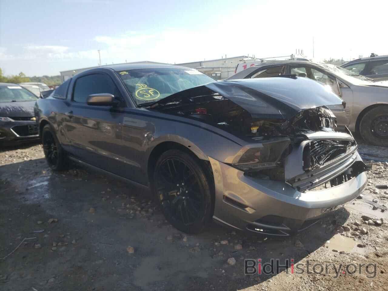 Photo 1ZVBP8AM4E5267086 - FORD MUSTANG 2014