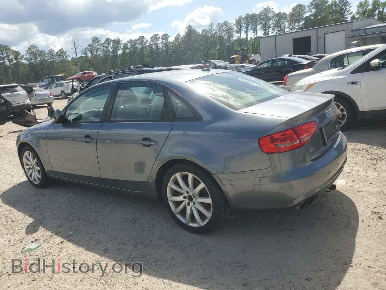 2013 AUDI A4 - VIN: WAUBFAFL8DN019125 - Фото 2