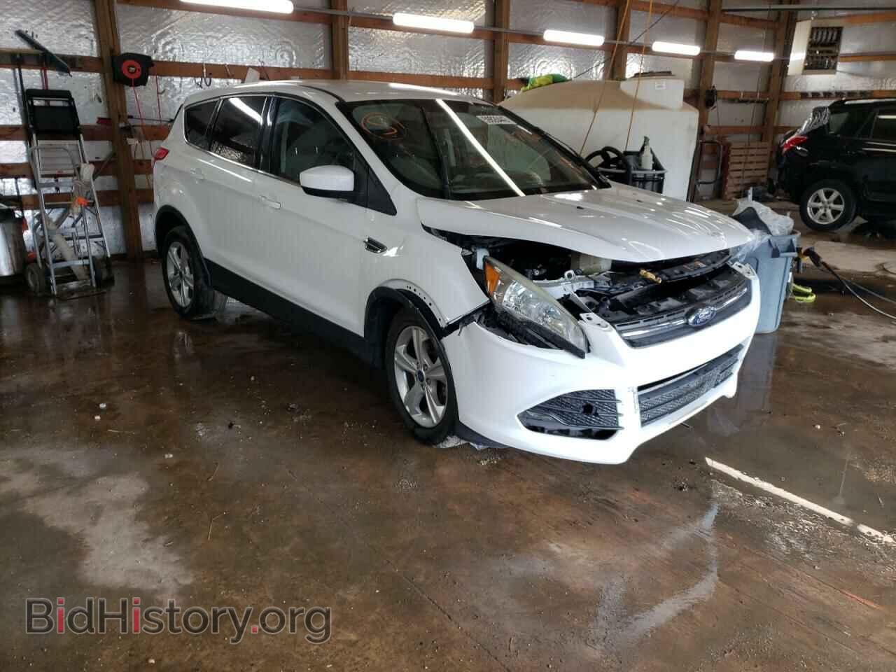 Фотография 1FMCU0GX7DUA74207 - FORD ESCAPE 2013