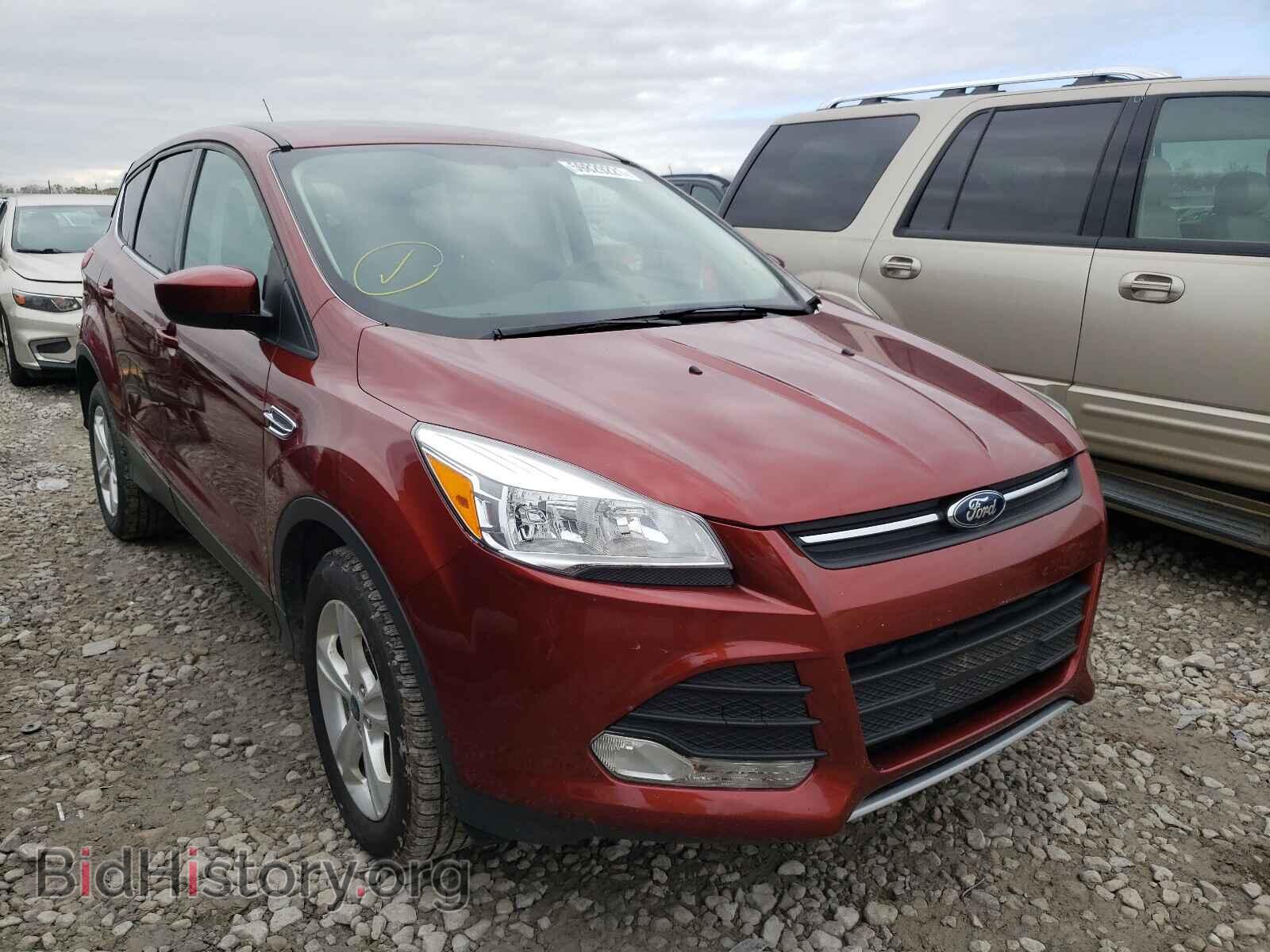 Фотография 1FMCU0GX5EUC00646 - FORD ESCAPE 2014