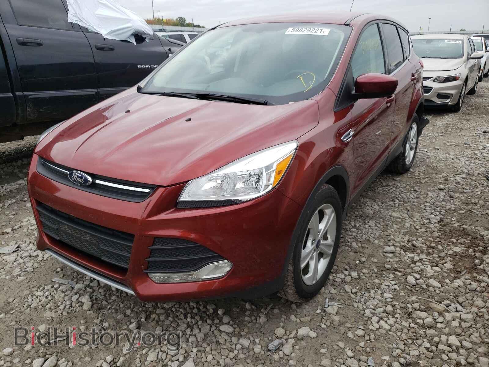 2014 FORD ESCAPE - VIN: 1FMCU0GX5EUC00646 - Фото 2