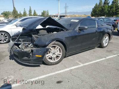 2014 Ford ALL MODELS Mustang, black — VIN 1ZVBP8AM1E5327535, Copart