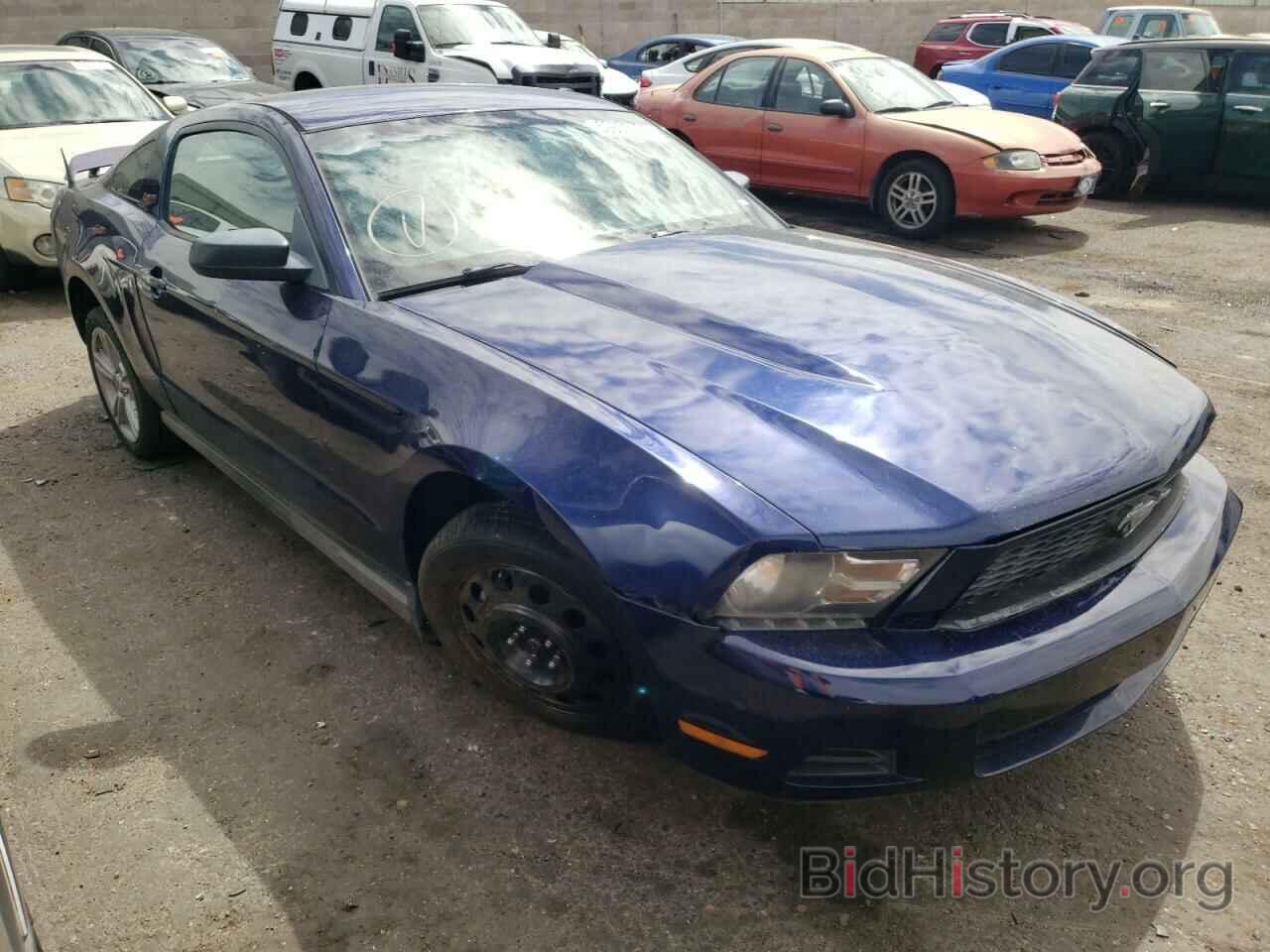Photo 1ZVBP8AN9A5119535 - FORD MUSTANG 2010