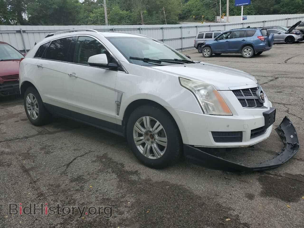 2011 CADILLAC SRX - VIN: 3GYFNDEY5BS559731 - Фото 4