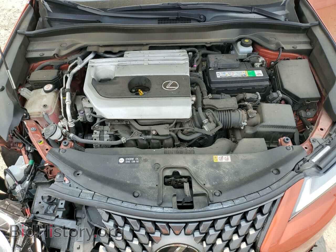 2019 LEXUS UX 200 - VIN: JTHY3JBH0K2005692 - Фото 12