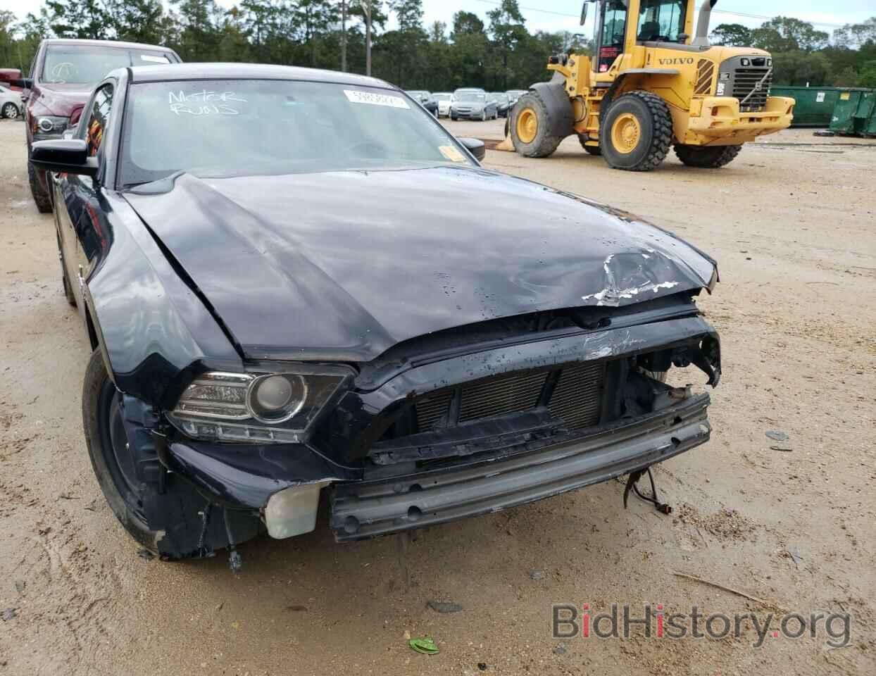 Photo 1ZVBP8AM3E5294540 - FORD MUSTANG 2014