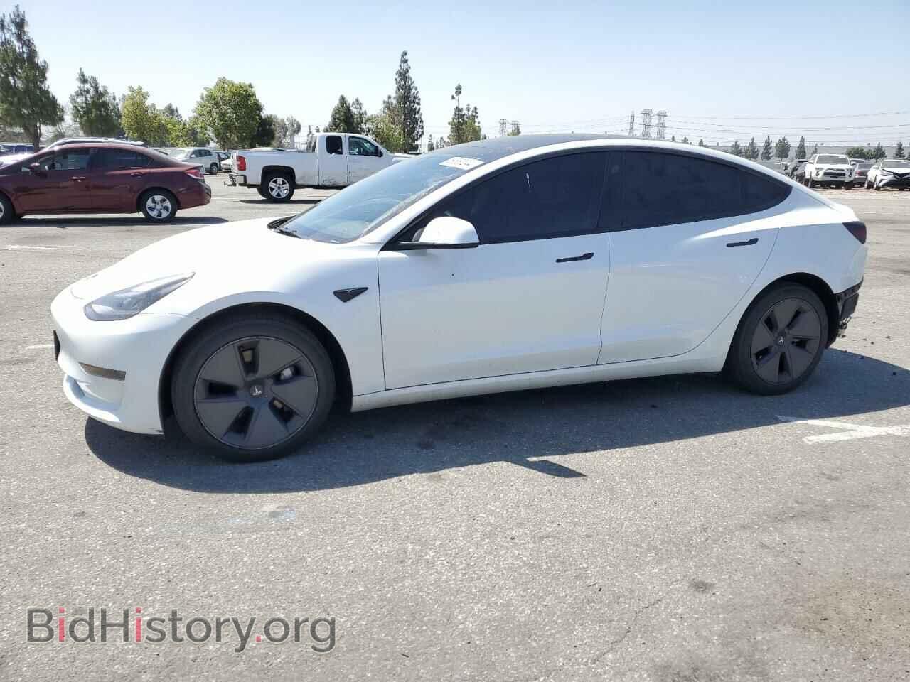 Photo 5YJ3E1EA1PF432209 - TESLA MODEL 3 2023