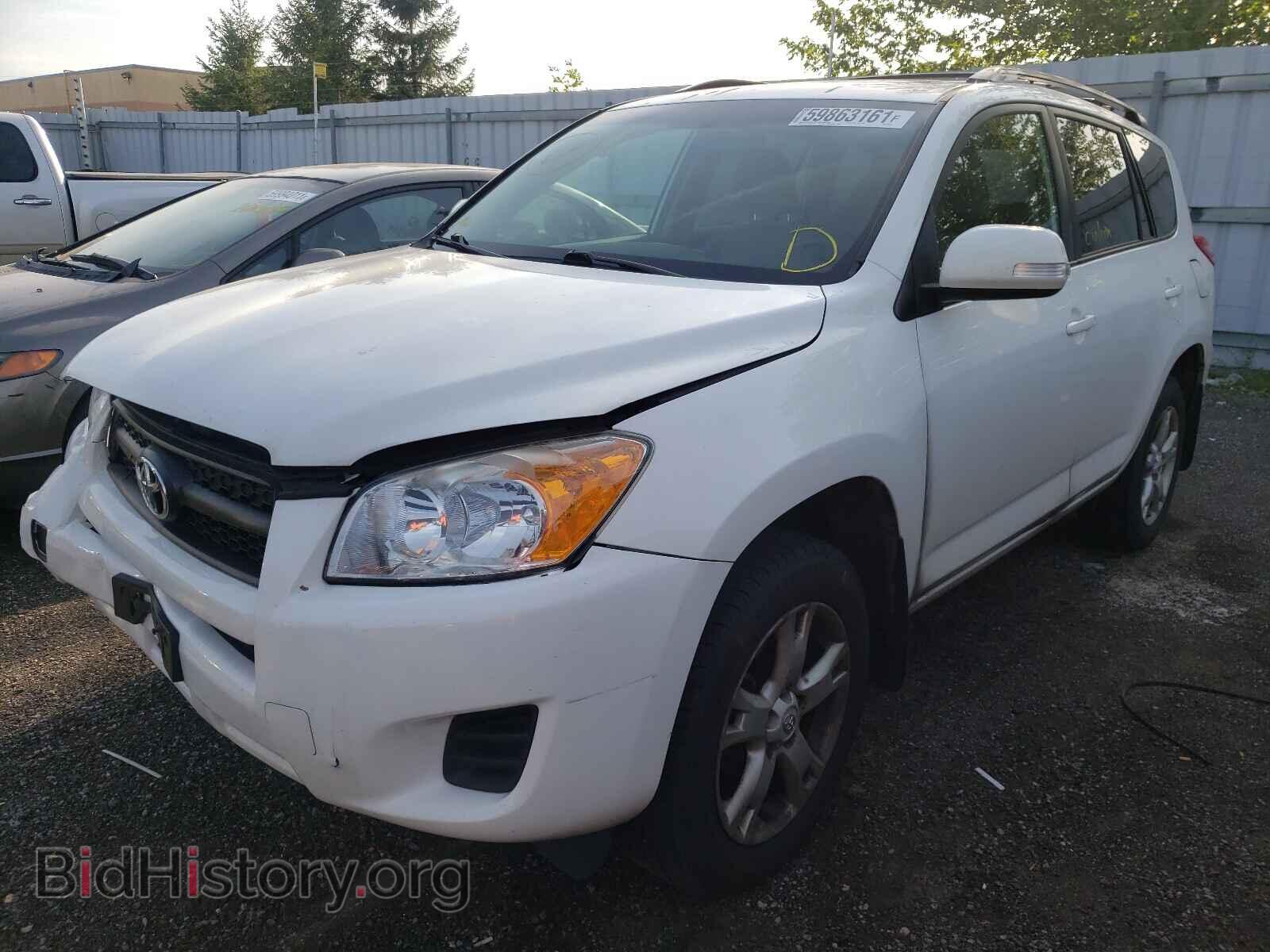 2011 TOYOTA RAV4 - VIN: 2T3BF4DV5BW116474 - Фото 2