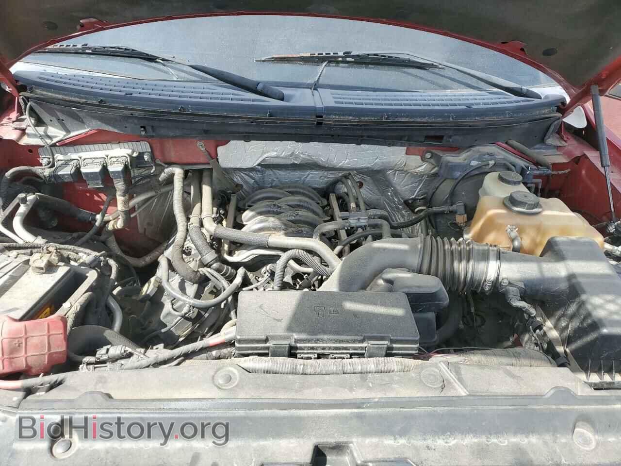 2011 FORD F-150 - VIN: 1FTFW1EF4BFA55336 - Фото 11