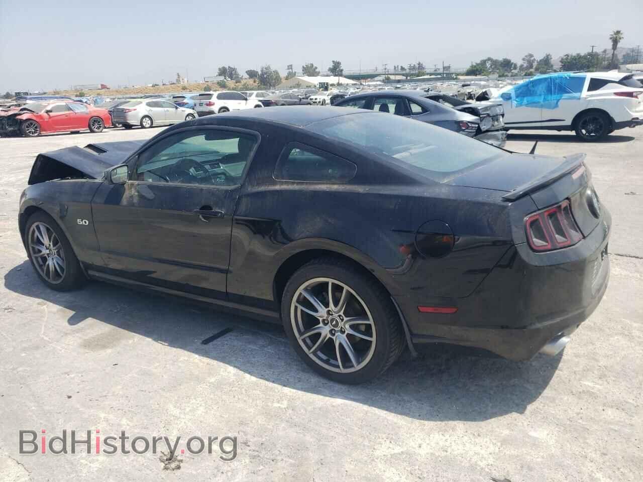 2013 FORD MUSTANG - VIN: 1ZVBP8CF1D5259511 - Фото 2