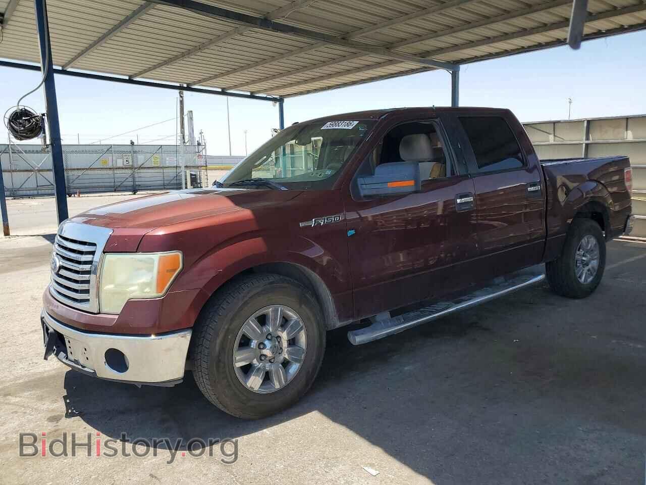 Фотография 1FTEW1C88AFC85184 - FORD F150 2010