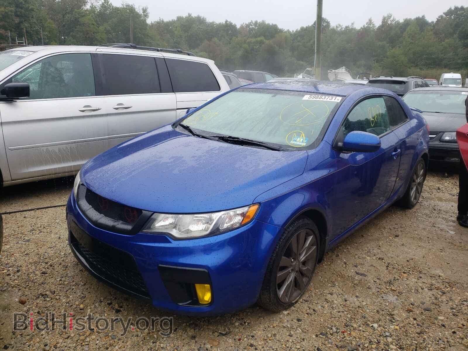 2013 KIA FORTE - VIN: KNAFW6A37D5697502 - Фото 2