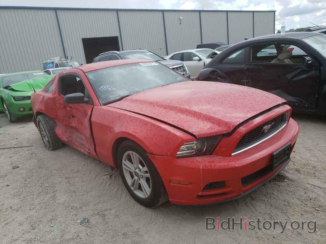Photo 1ZVBP8AM5D5254166 - FORD MUSTANG 2013