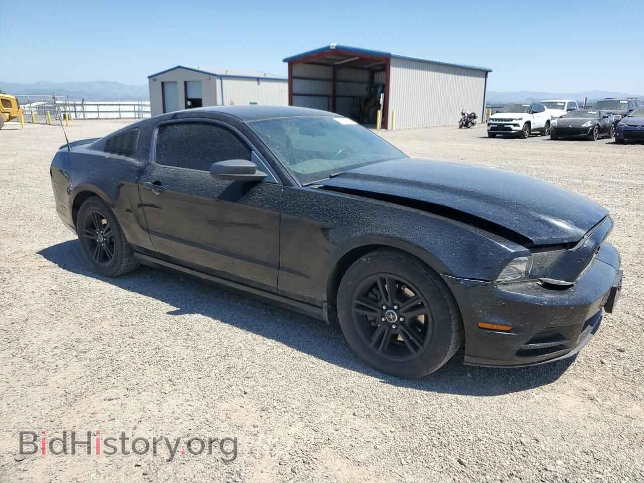 2013 FORD ALL Models - VIN: 1ZVBP8AM7D5219239 - Фото 4