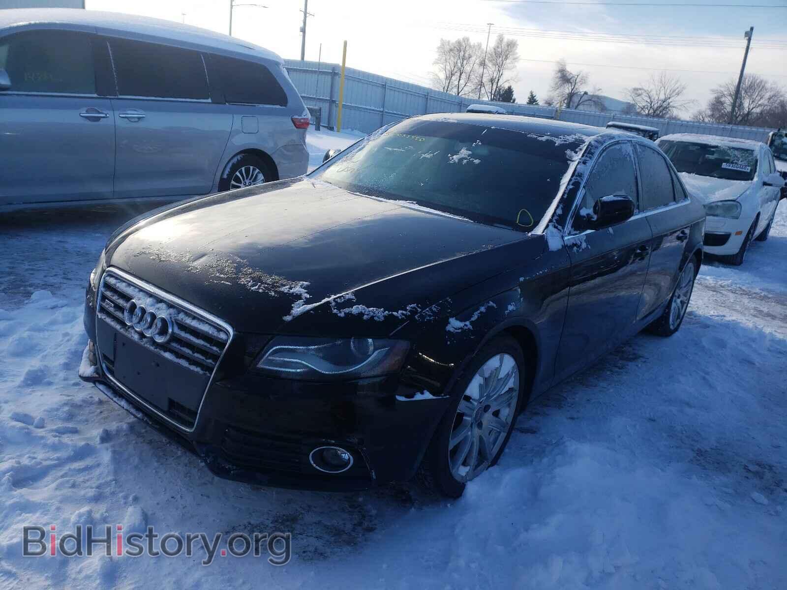 2010 AUDI A4 - VIN: WAUHFAFL9AN005143 - Фото 2