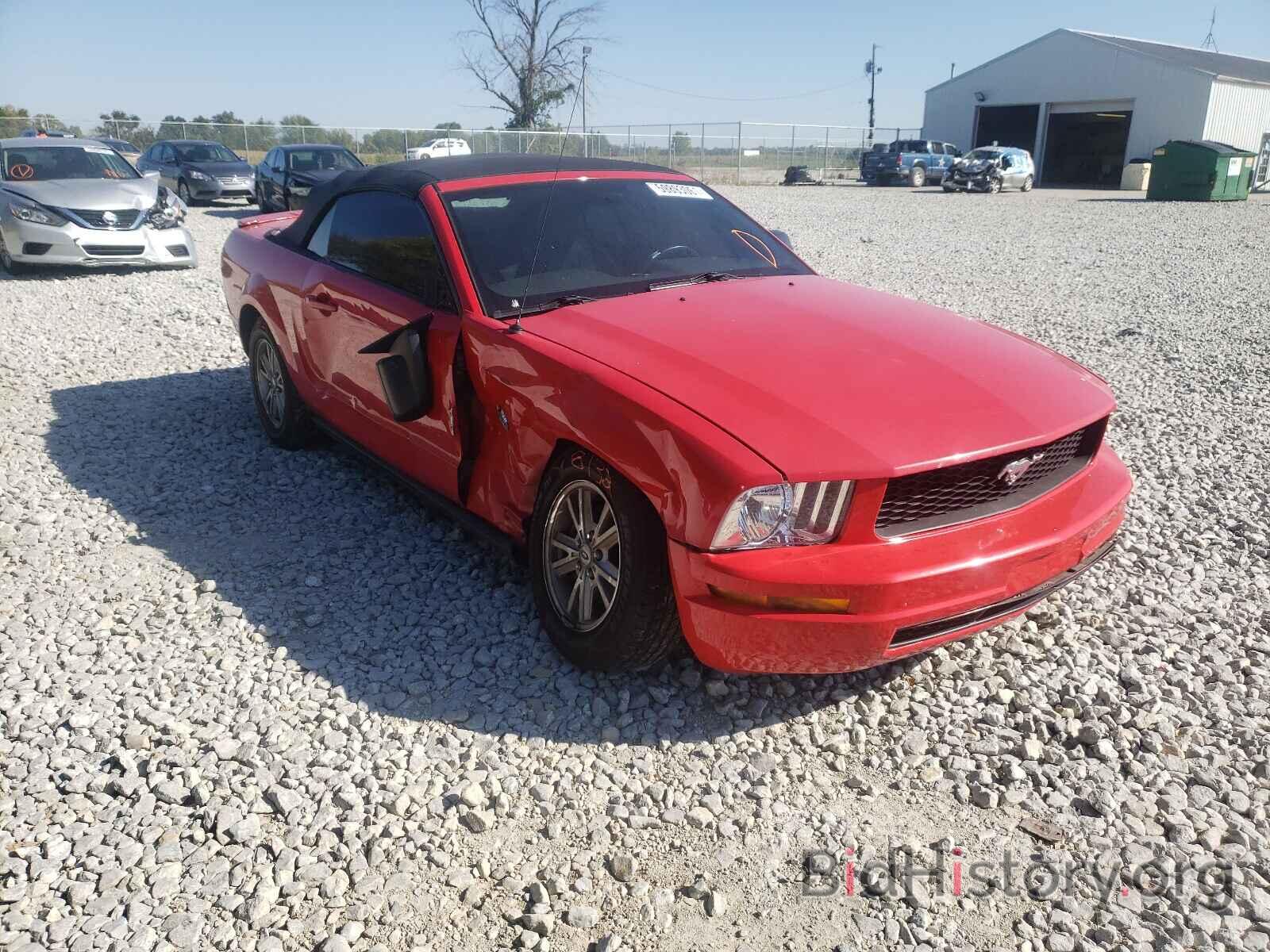 Photo 1ZVHT84N895104618 - FORD MUSTANG 2009