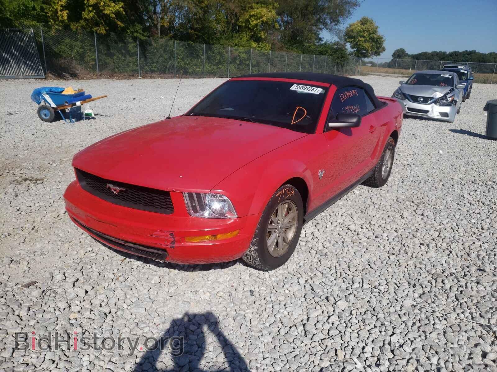 2009 FORD MUSTANG - VIN: 1ZVHT84N895104618 - Фото 2