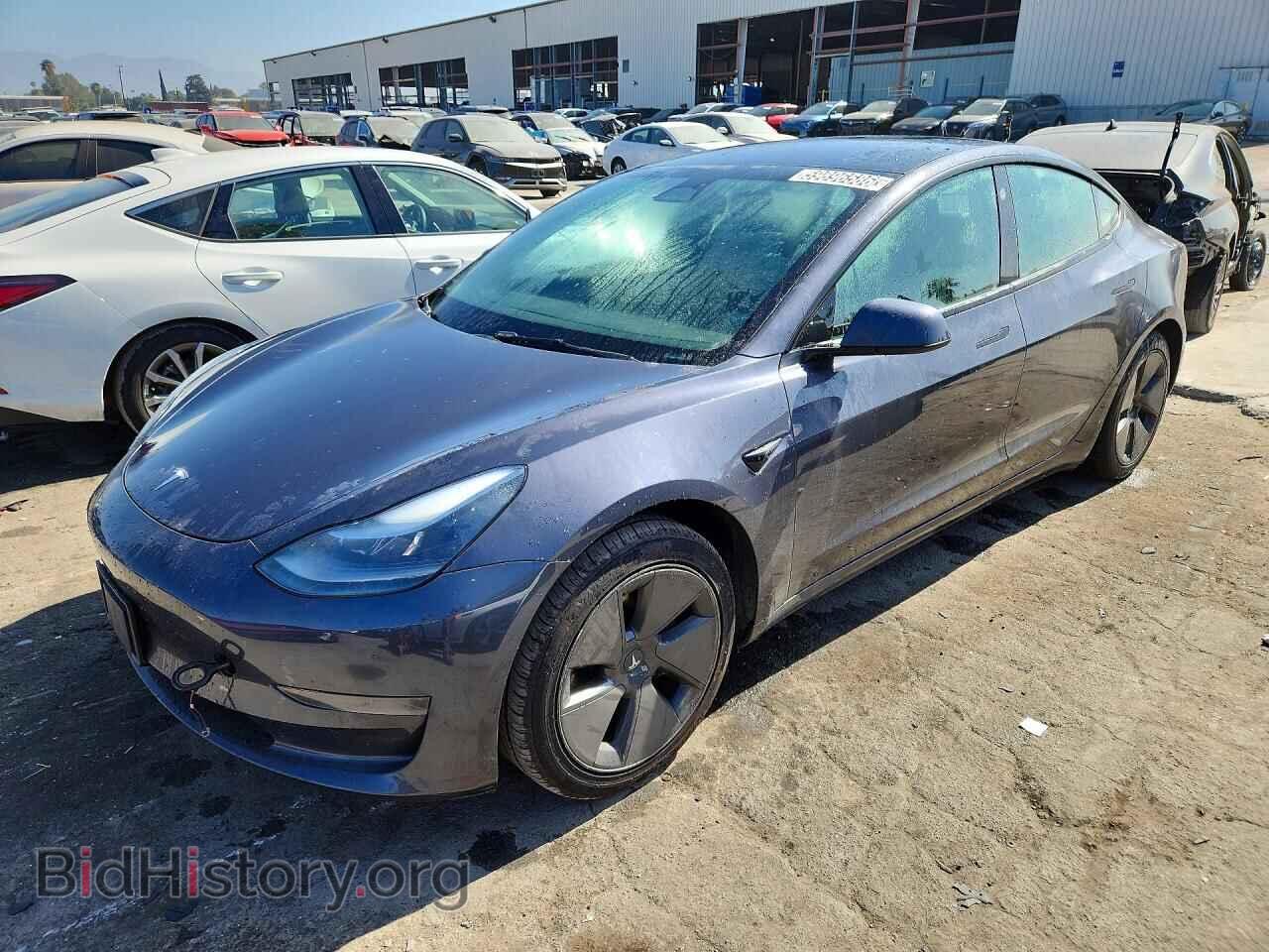 Photo 5YJ3E1EA6PF450544 - TESLA MODEL 3 2023