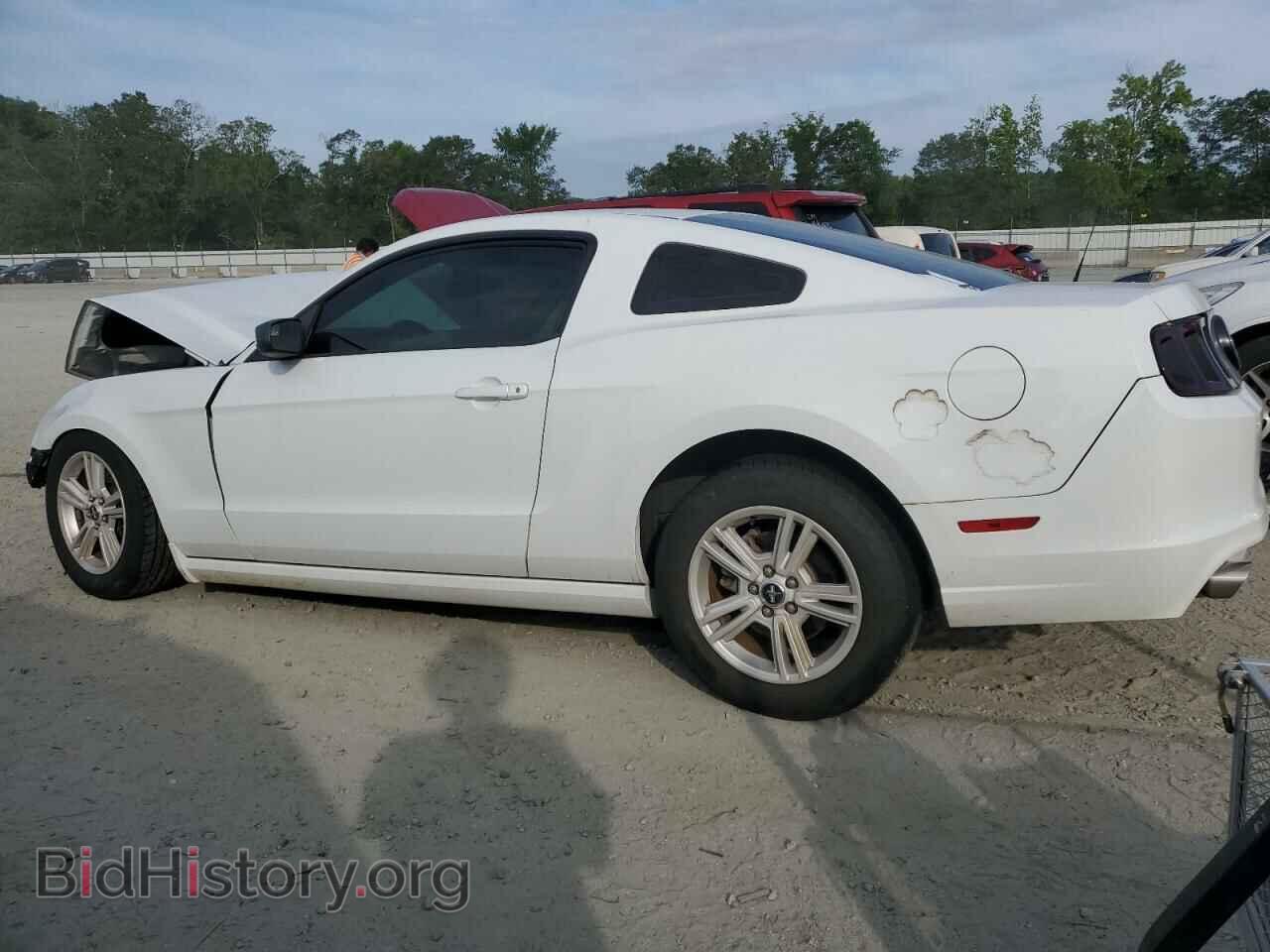 2014 FORD ALL Models - VIN: 1ZVBP8AM6E5269308 - Фото 2