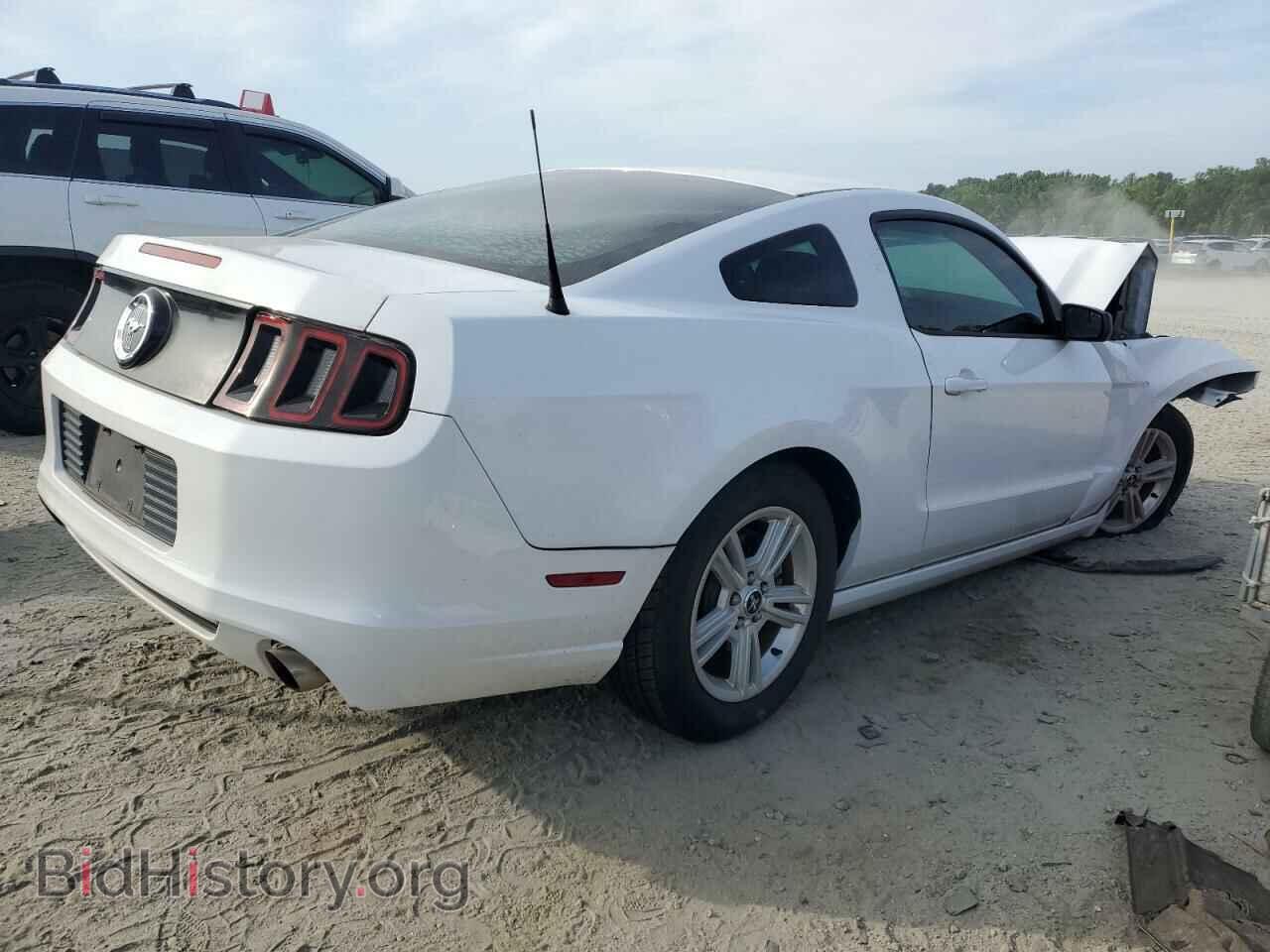 2014 FORD ALL Models - VIN: 1ZVBP8AM6E5269308 - Фото 3