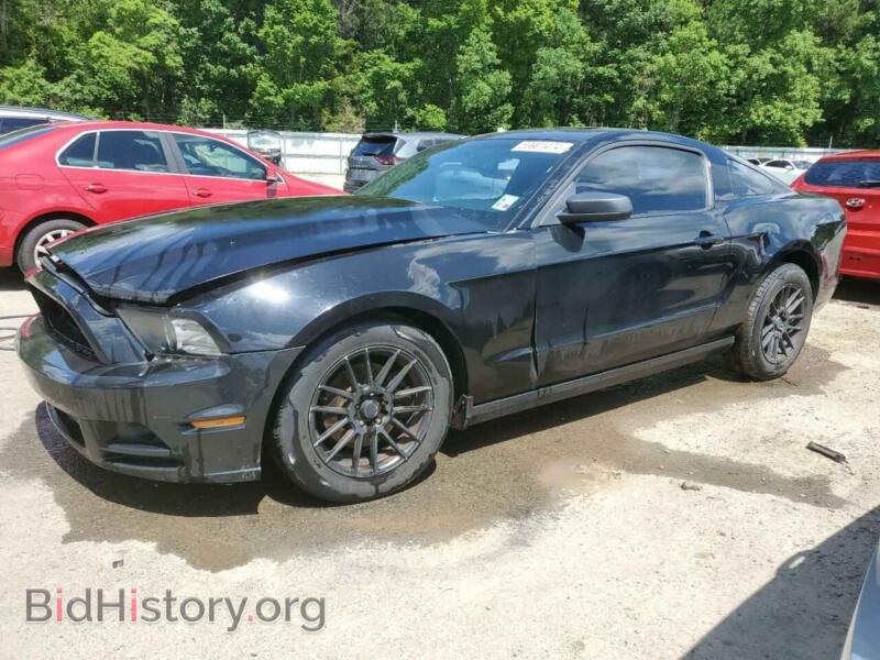 2013 Ford ALL MODELS (VIN 1ZVBP8AM5D5206277) — photo 1 of 12, Copart, damage: front end