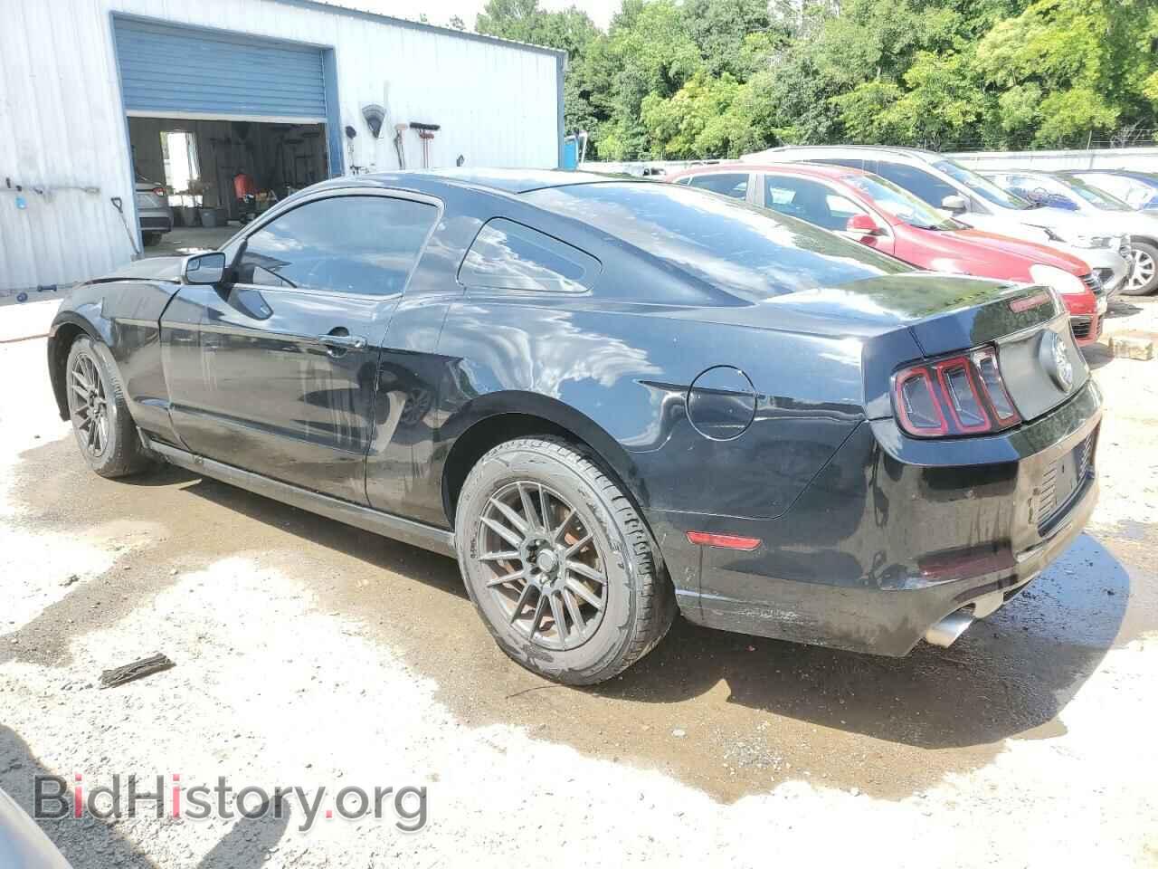 2013 FORD ALL Models - VIN: 1ZVBP8AM5D5206277 - Фото 2
