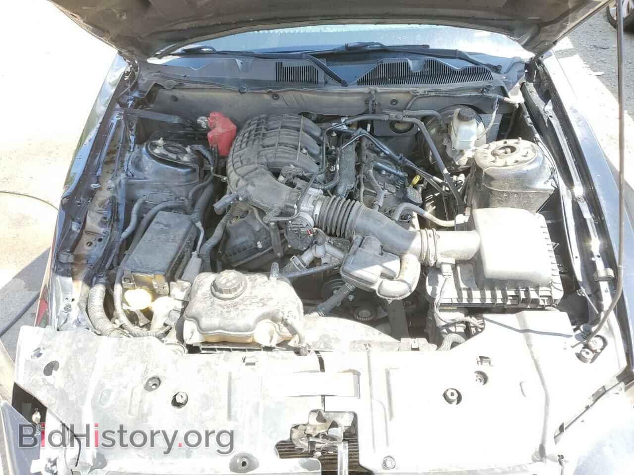 2013 FORD ALL Models - VIN: 1ZVBP8AM5D5206277 - Фото 11