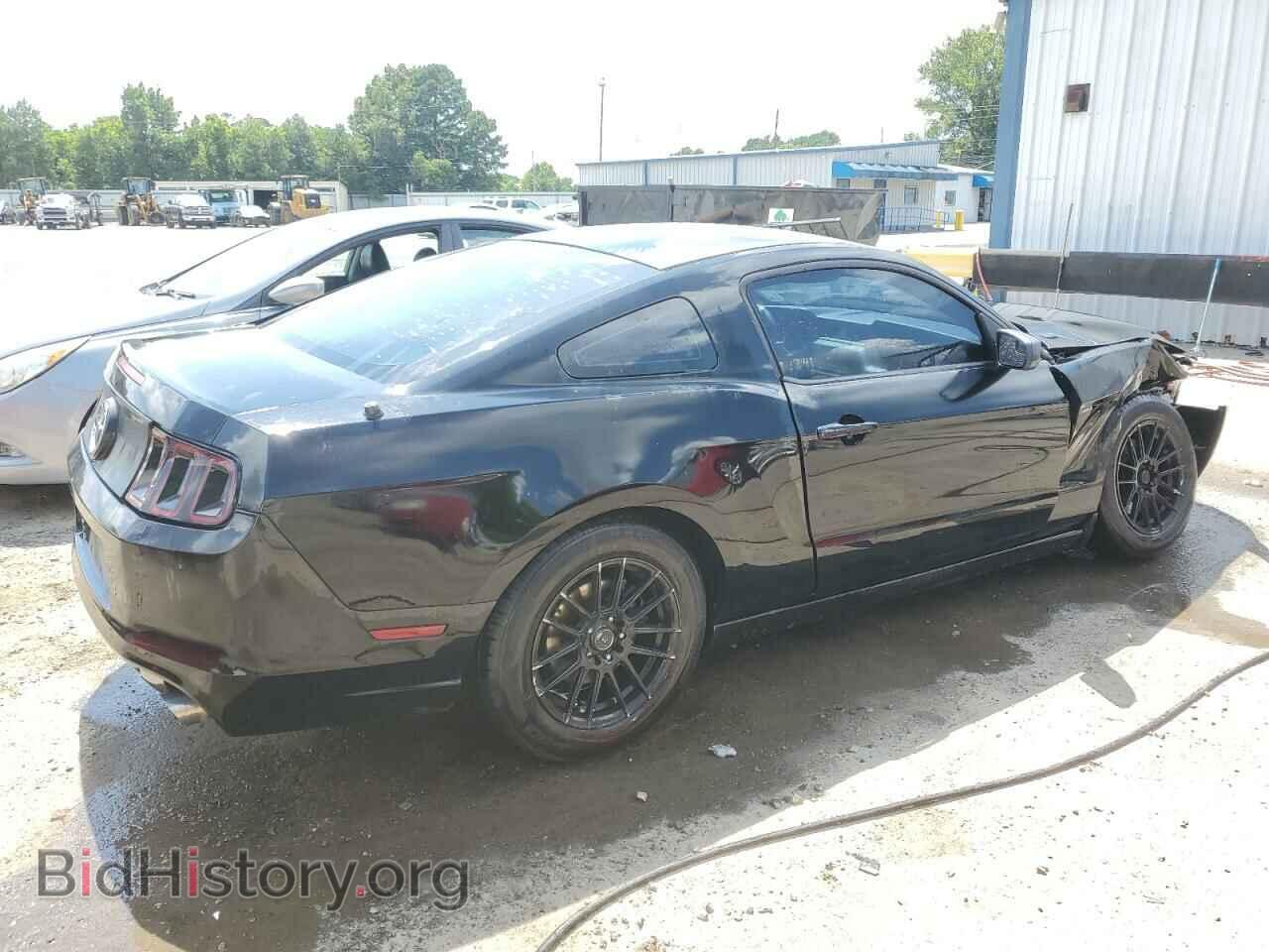 2013 FORD ALL Models - VIN: 1ZVBP8AM5D5206277 - Фото 3