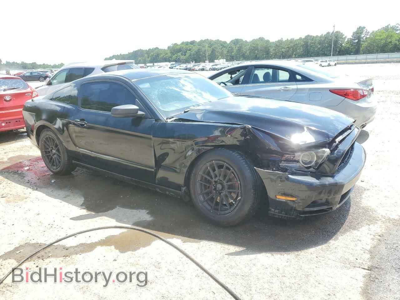 2013 FORD ALL Models - VIN: 1ZVBP8AM5D5206277 - Фото 4