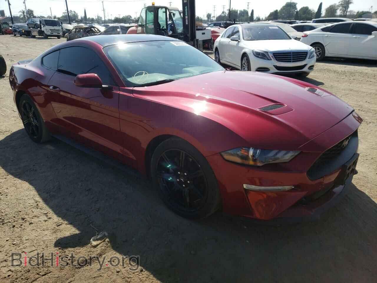 Photo 1FA6P8THXK5202426 - FORD MUSTANG 2019