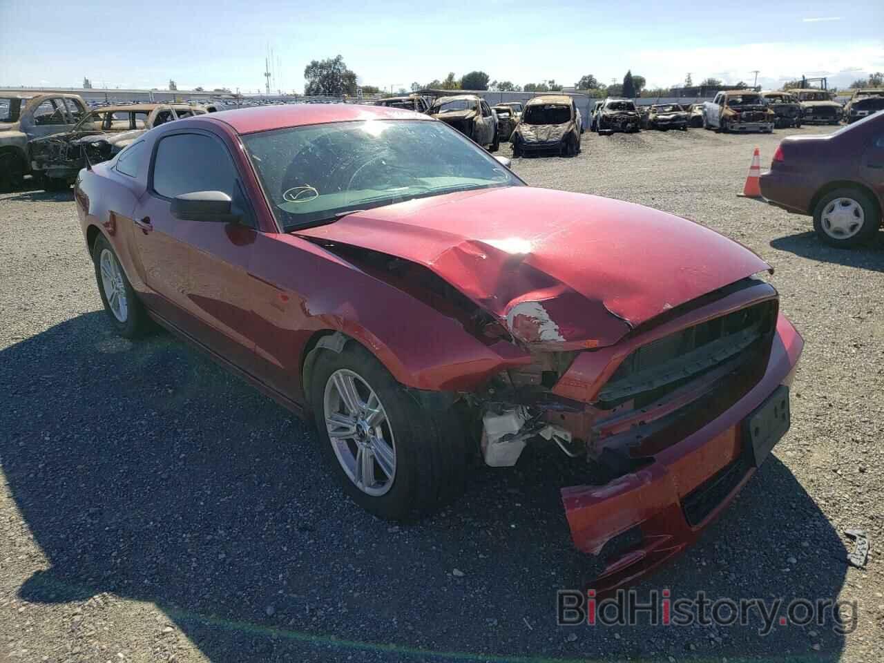 Photo 1ZVBP8AM8E5257497 - FORD MUSTANG 2014