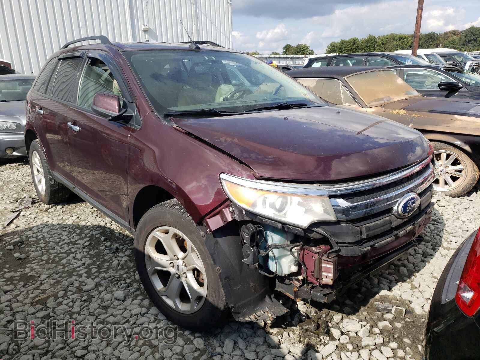 Фотография 2FMDK4JC8BBB28348 - FORD EDGE 2011