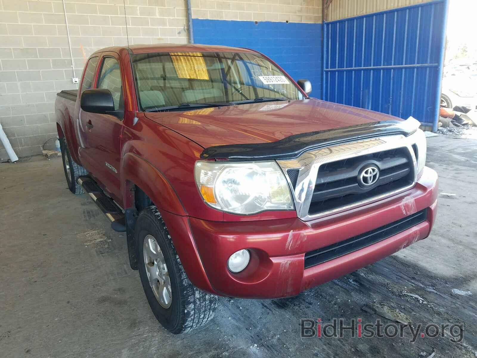 Photo 5TETU62N98Z534980 - TOYOTA TACOMA 2008