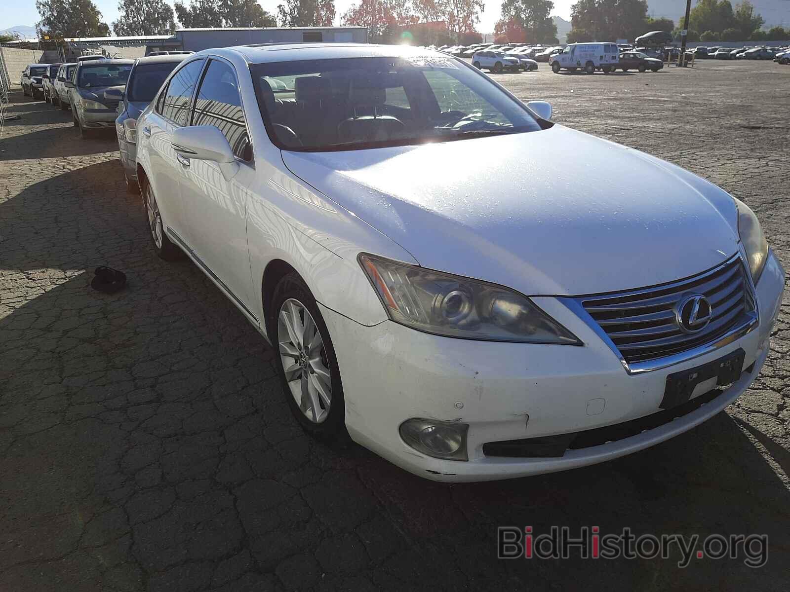 Фотография JTHBK1EG5A2356902 - LEXUS ES350 2010