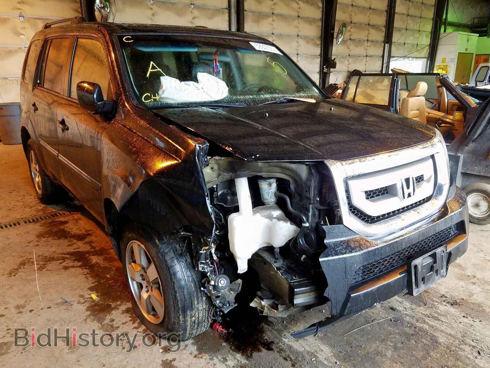 Фотография 5FNYF4H46BB041169 - HONDA PILOT 2011