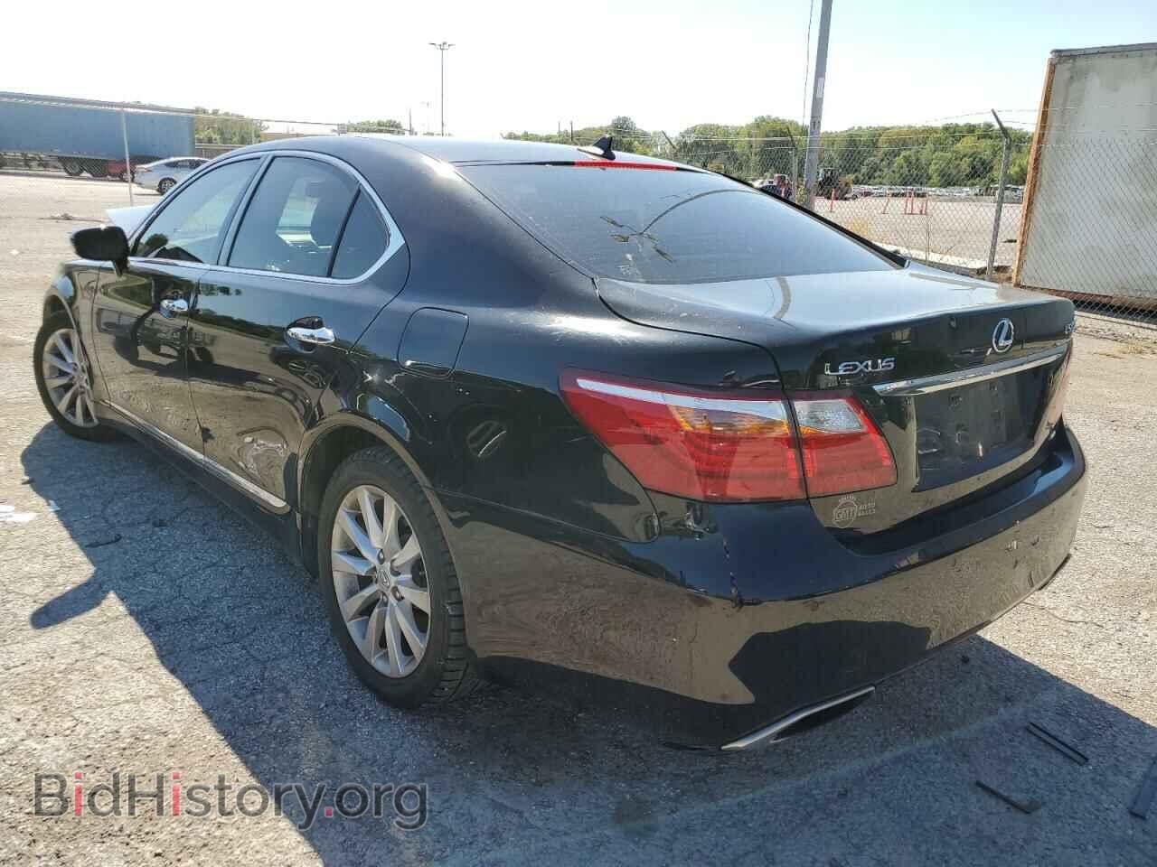 2011 LEXUS LS460 - VIN: JTHCL5EF9B5009539 - Фото 3