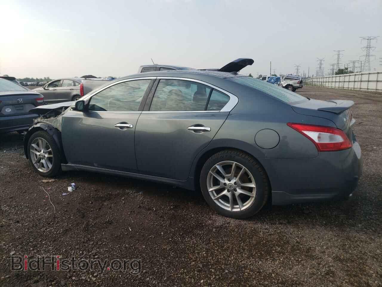 2010 NISSAN MAXIMA - VIN: 1N4AA5AP2AC825313 - Фото 2