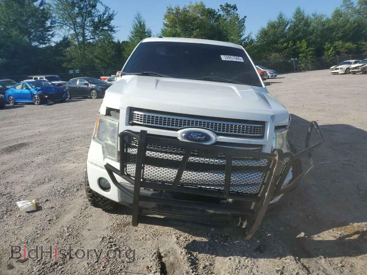 2012 FORD F-150 - VIN: 1FTFW1ET5CFA33255 - Фото 5