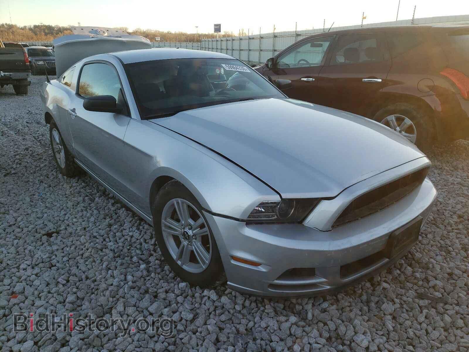 Photo 1ZVBP8AM4E5313905 - FORD MUSTANG 2014