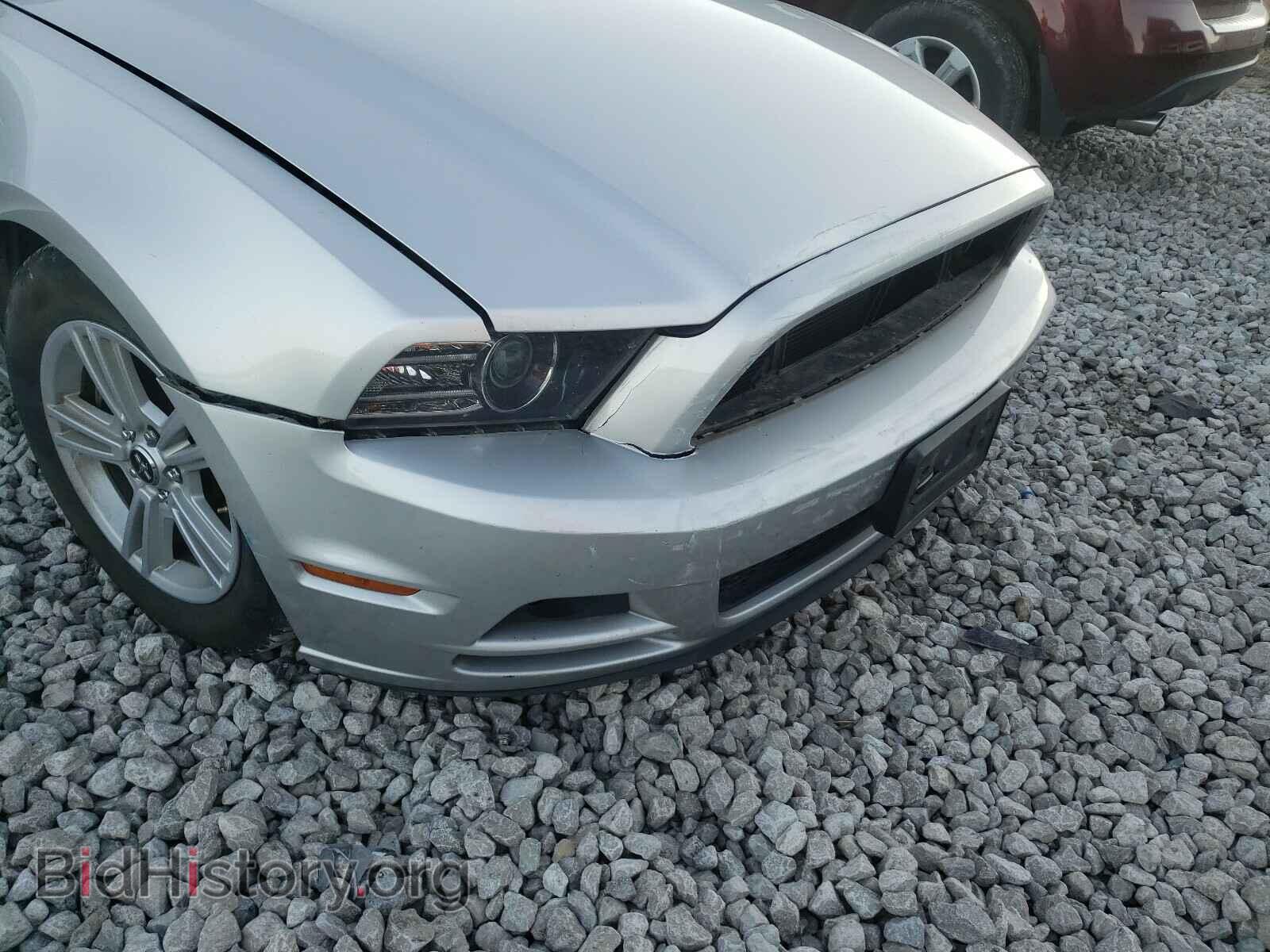 2014 FORD MUSTANG - VIN: 1ZVBP8AM4E5313905 - Фото 9