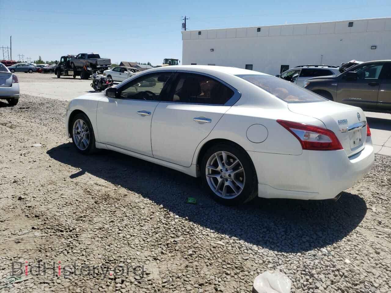 2011 NISSAN MAXIMA - VIN: 1N4AA5APXBC833399 - Фото 2