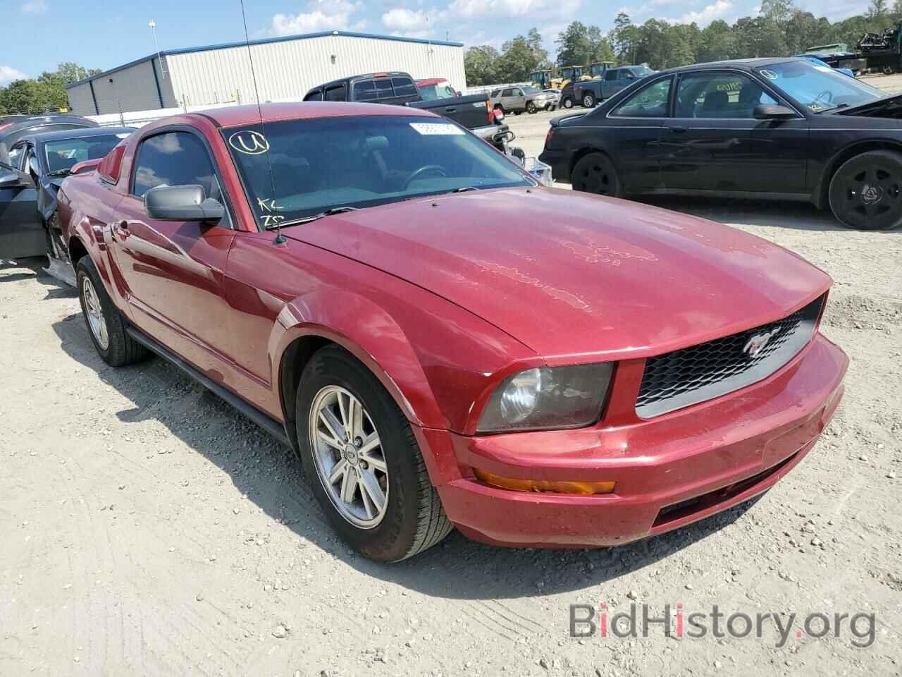 Photo 1ZVFT80N365250014 - FORD MUSTANG 2006