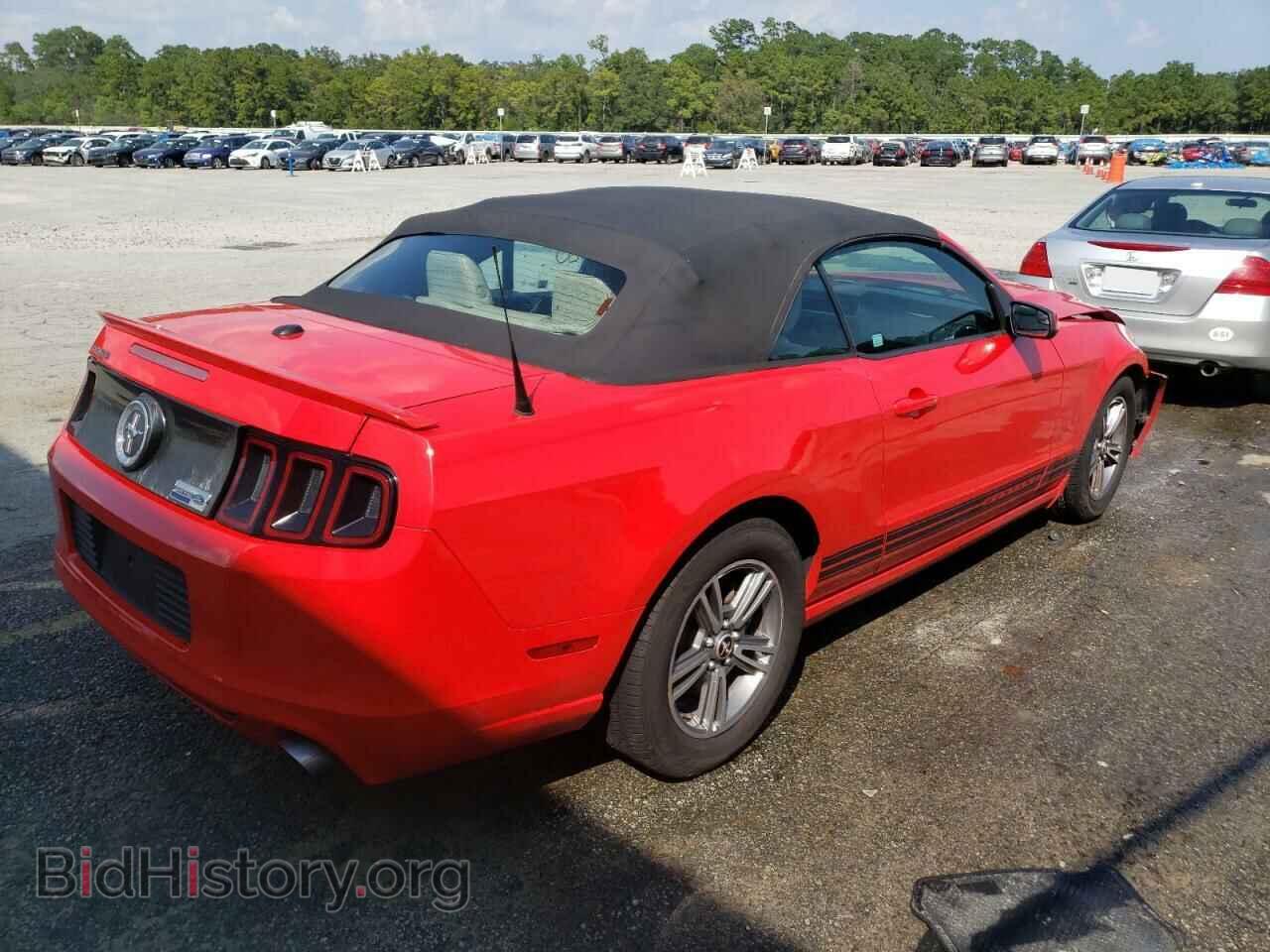 2013 FORD MUSTANG - VIN: 1ZVBP8EM0D5202812 - Фото 4