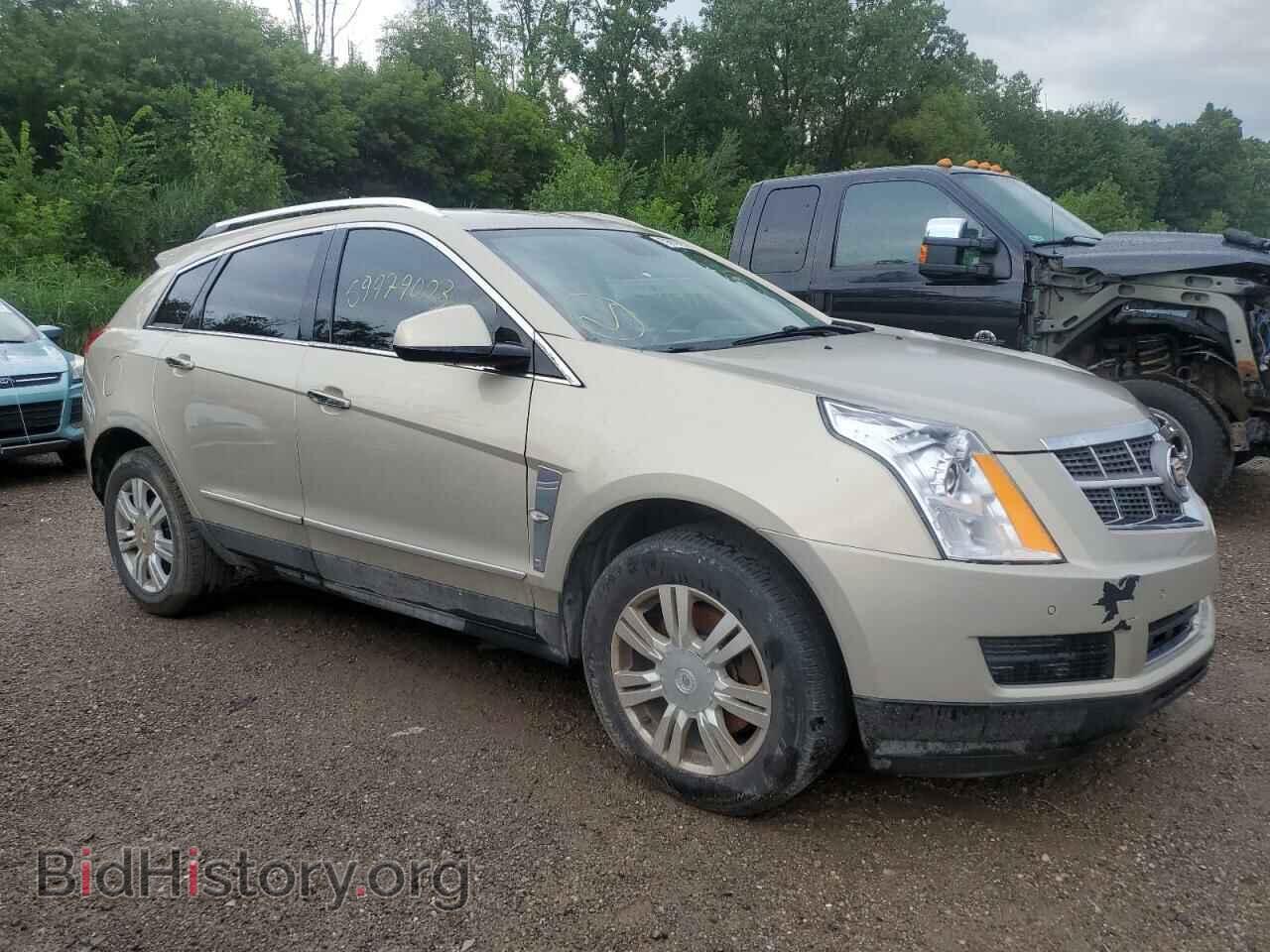 2010 CADILLAC SRX - VIN: 3GYFNAEY9AS642561 - Фото 4