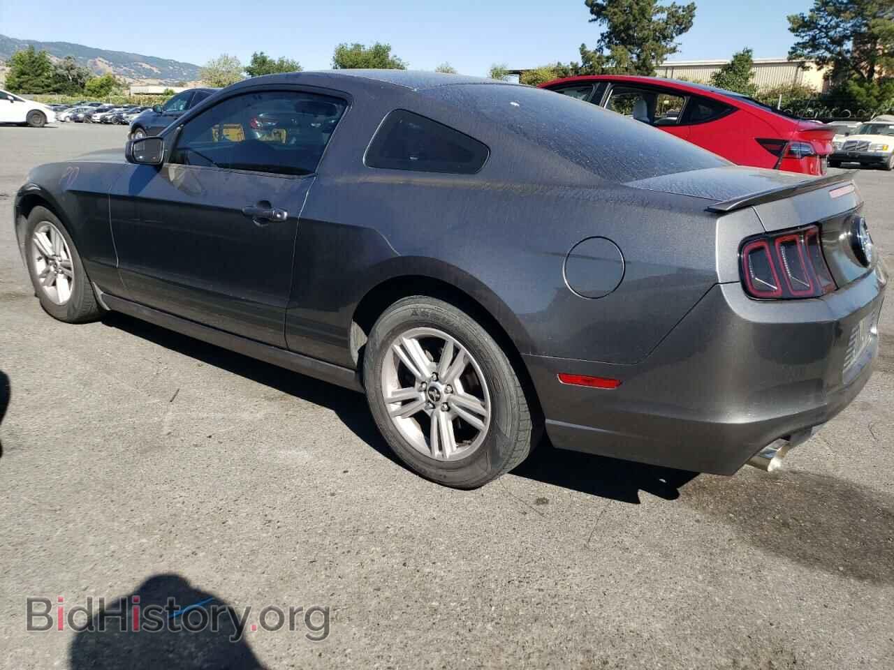 2013 FORD ALL Models - VIN: 1ZVBP8AM7D5271695 - Фото 2