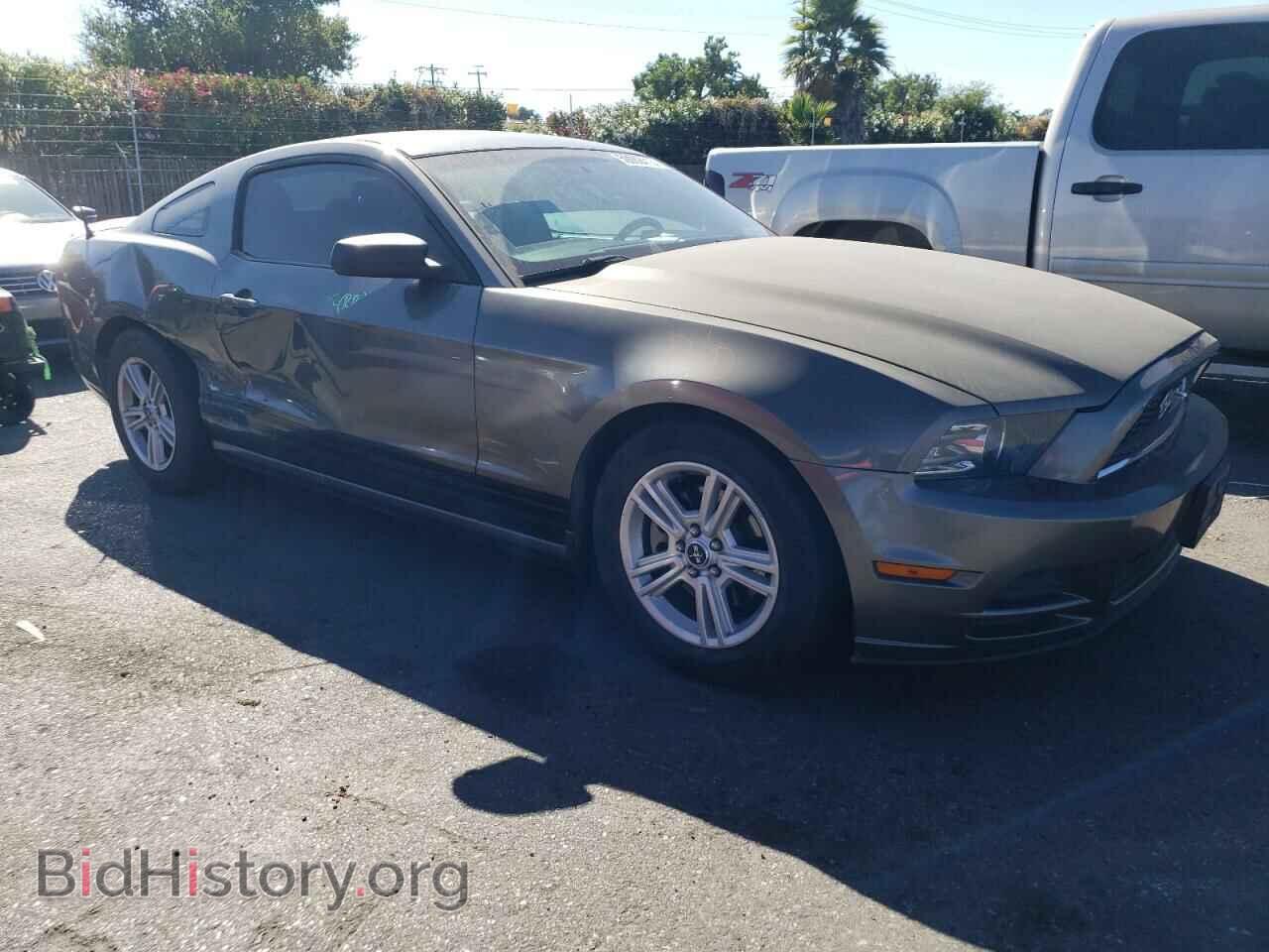 2013 FORD ALL Models - VIN: 1ZVBP8AM7D5271695 - Фото 4