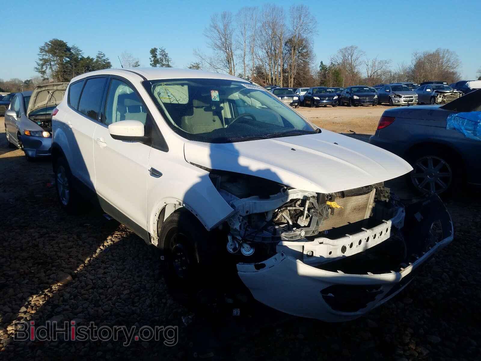 Фотография 1FMCU0GX1EUC02832 - FORD ESCAPE 2014
