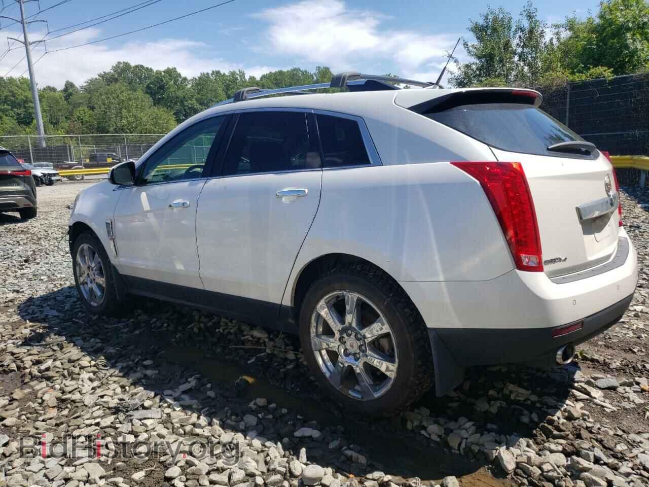 2012 CADILLAC SRX - VIN: 3GYFNEE35CS656813 - Photo 2